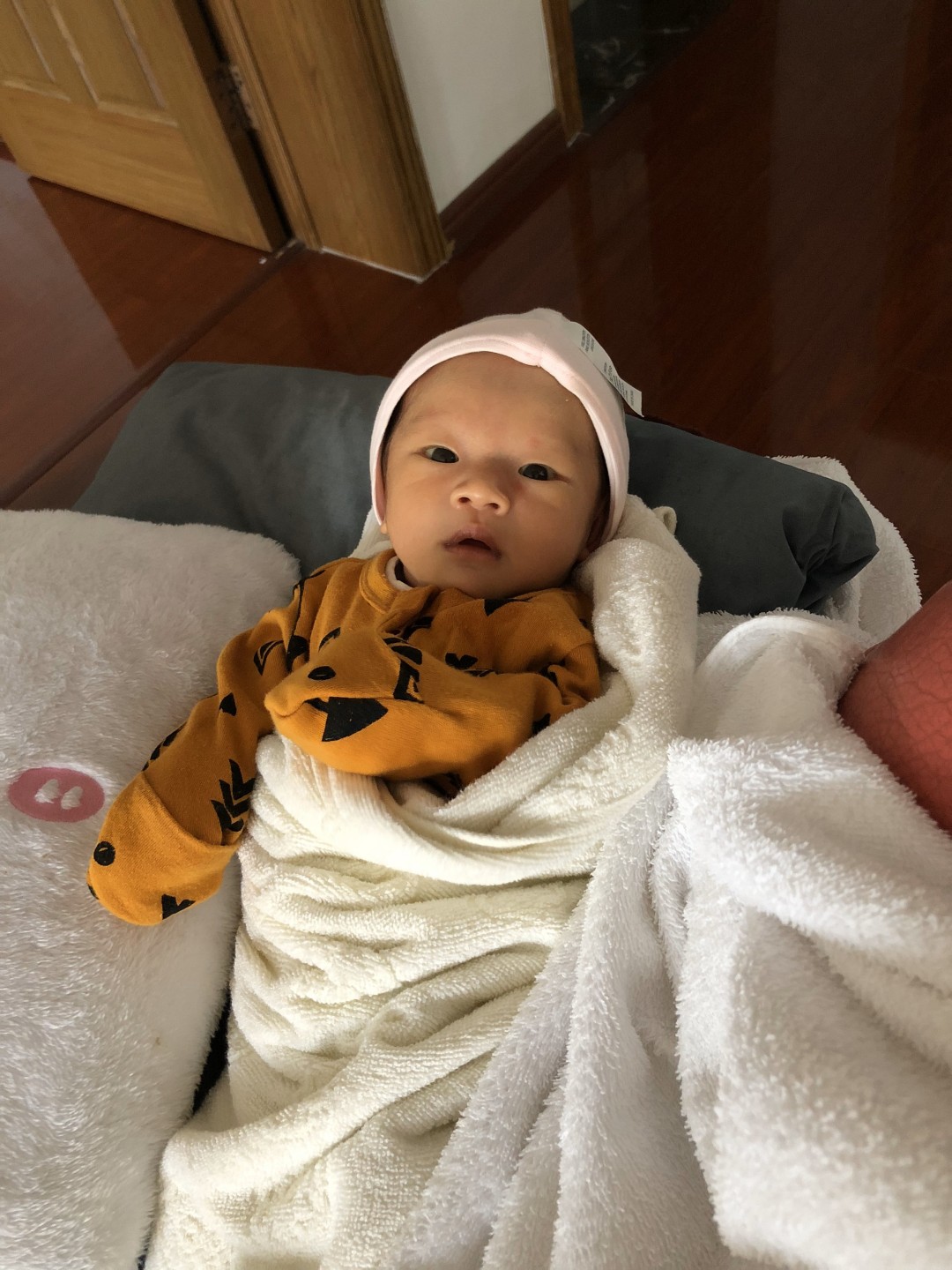 小小脑袋，大大的问号